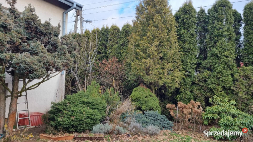 Dom w Janówku Pierwszym nowa Janówek Pierwszy