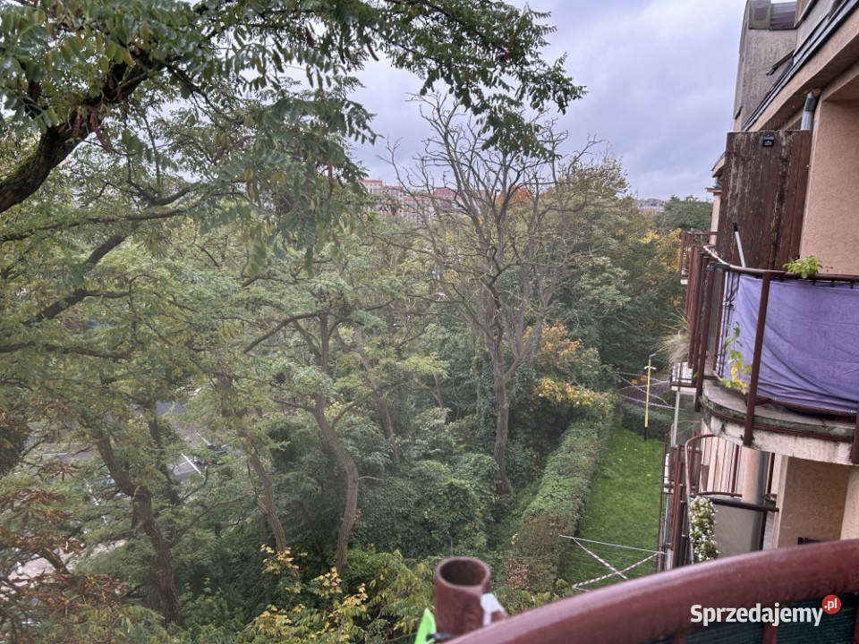 Do wynajmu duza kawalerka w centrum Szczecina Szczecin