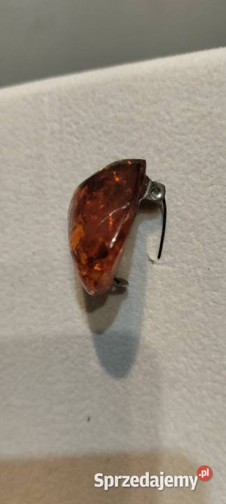 Broszki mazowieckie Gostynin