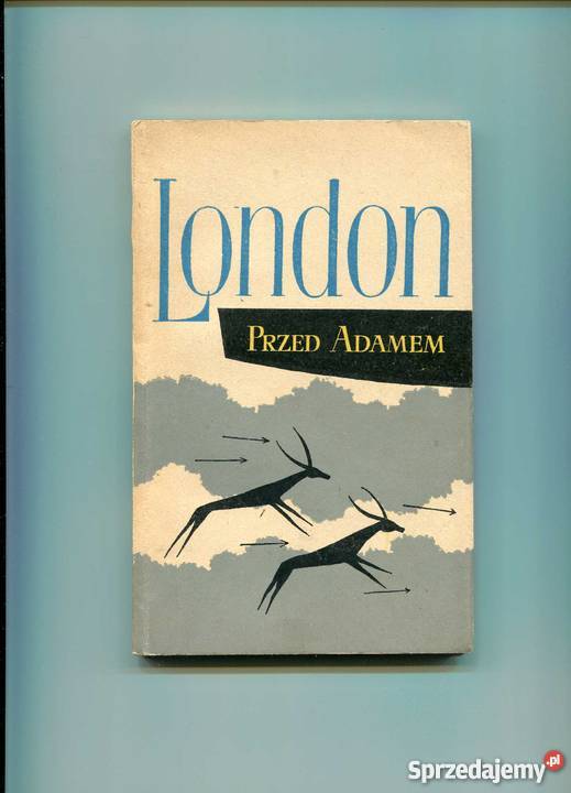 Przed Adamem Szczecin