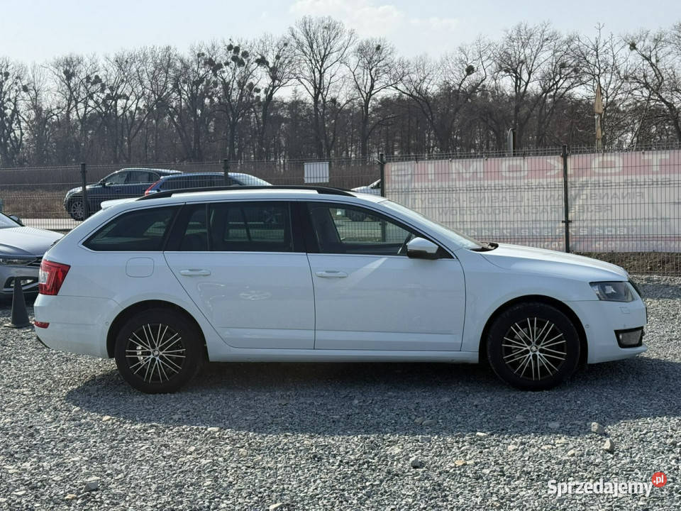 koda Octavia 20TDi 150 2016r Style DSG Led wielofunkcyjna kierownica