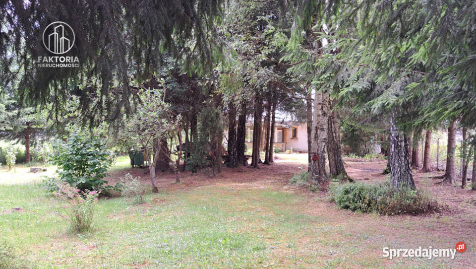 Działka 16000m2 Sobolewo Baranowicka