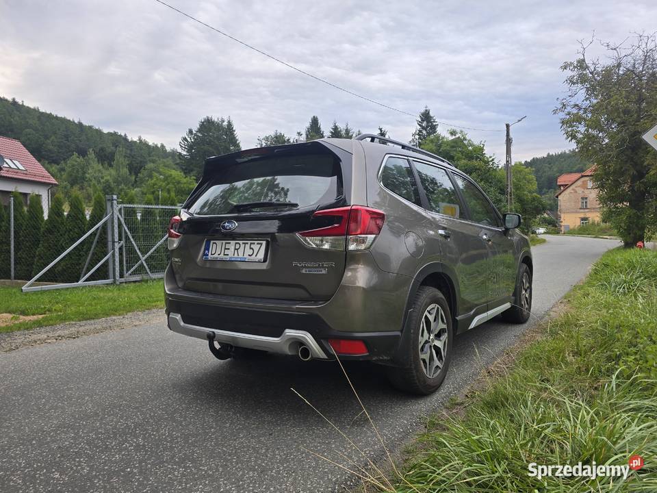 Forester 20 Eboxer sprzedam