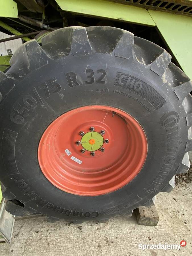 Claas Mega 218 stół do rzepaku Międzylesie