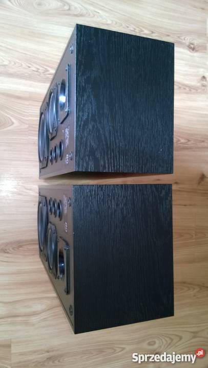 POLSKIE Kolumny Skart 10080W Tonsil Wieliczki