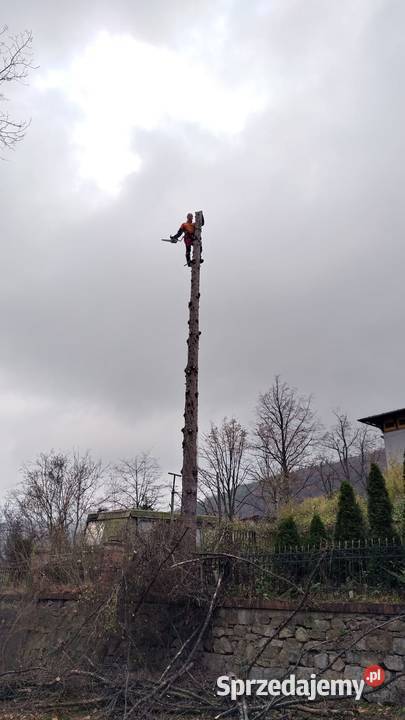 Usługi alpinistyczne Pozostałe usługi Świdnica