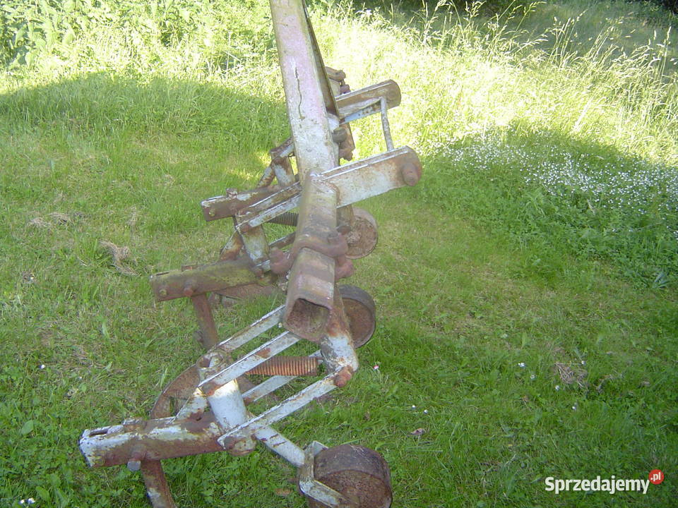 Sprzedam oryginalny Unia Grudziądz trzyrzędowy Ziębice