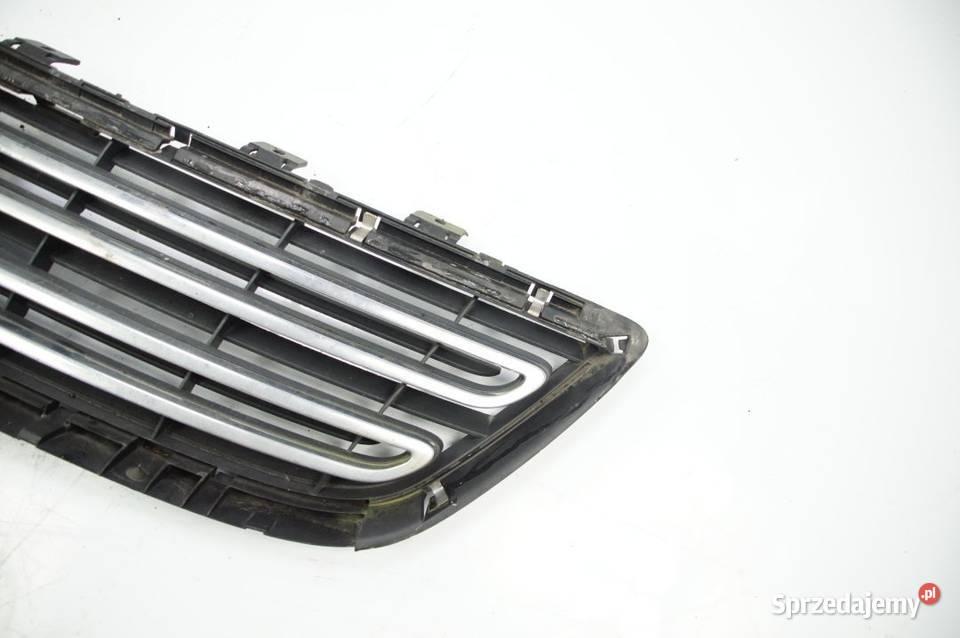 GRILL ATRAPA VOLKSWAGEN PHAETON V6 TDI 3D7853651 Lipno