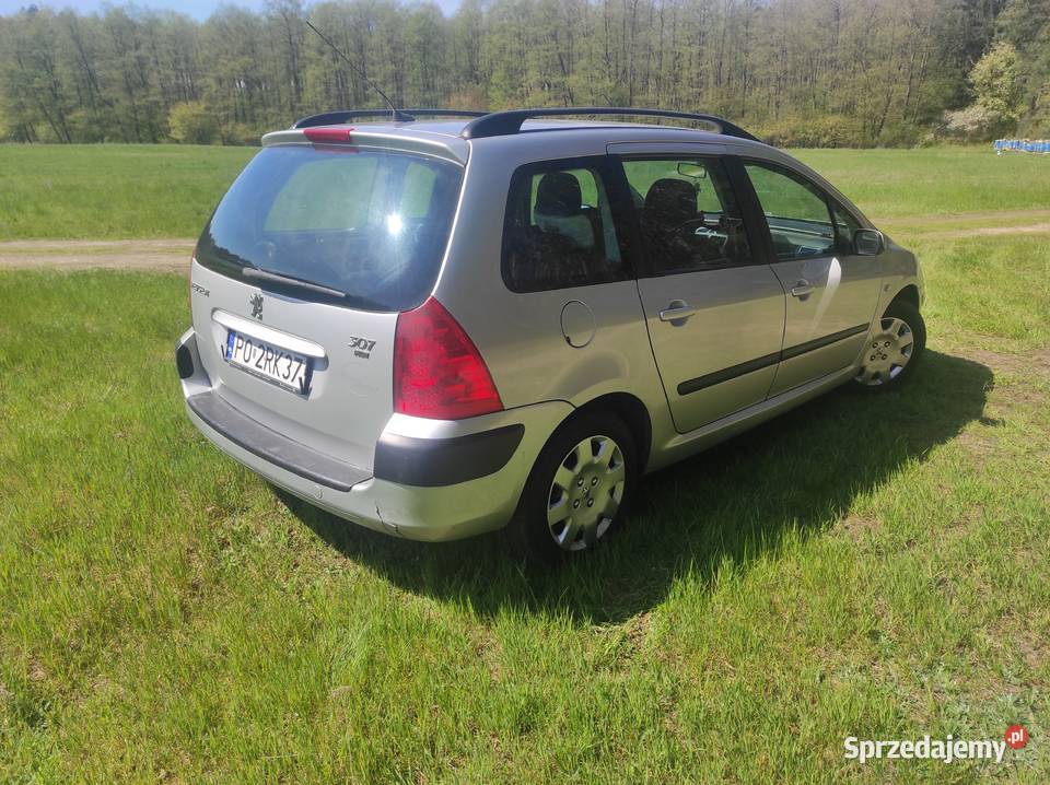 Peugeot 307 2007 16hdi 109 Mieścisko