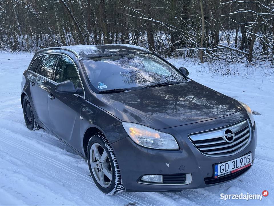 Opel Insignia 20cdti 130koni Poznań