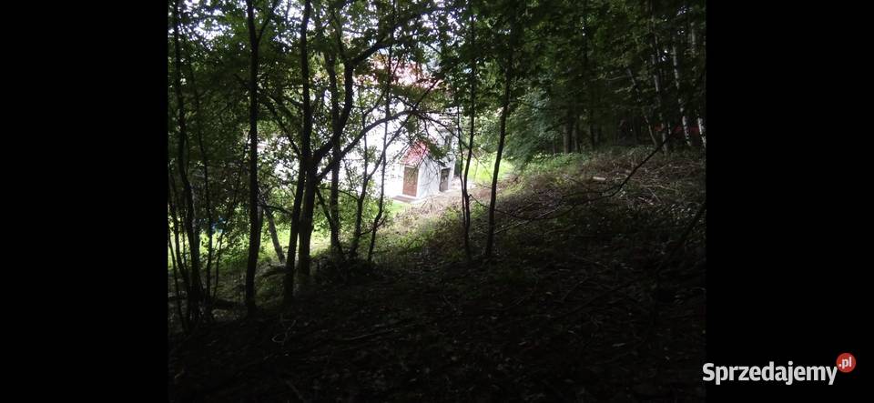 Dom na działce 3000 m2 w Suchej Beskidzkiej Sucha Beskidzka sprzedam