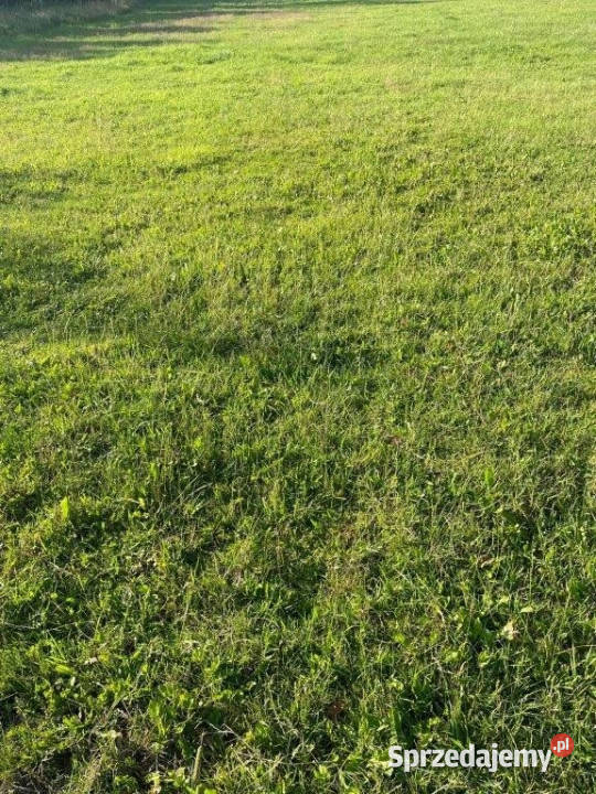 sprzedaży gruntu Smołdzino 500m2