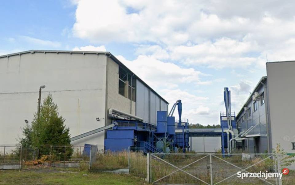 syndyk sprzeda zcp elektrownię linie pellet Dąbrowa Górnicza