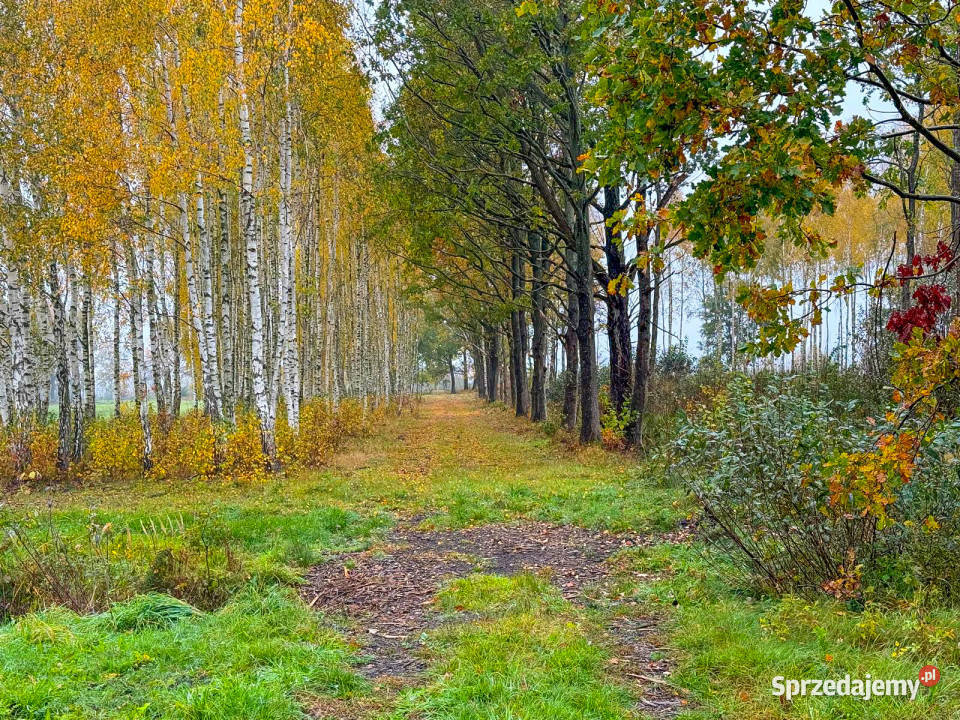 Działka budowlana 552m2 urokliwa i spokojna Darłowo