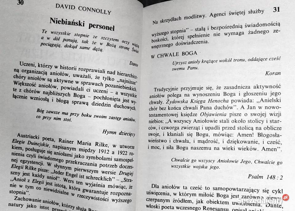 W poszukiwaniu aniołów David Connolly Chełm