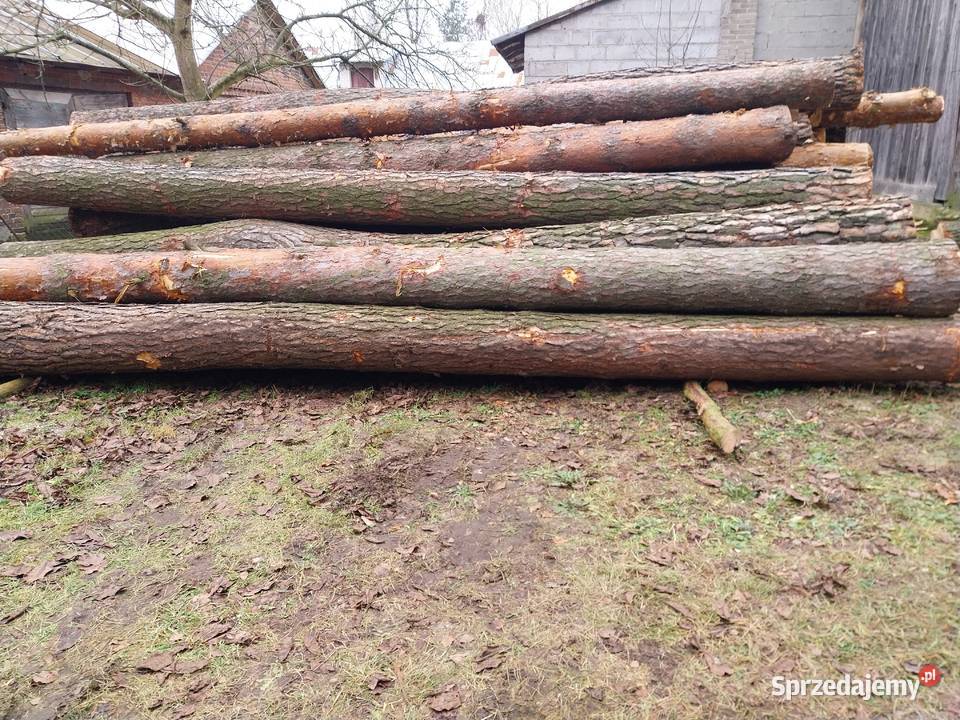 drewno tartaczne Węgrów