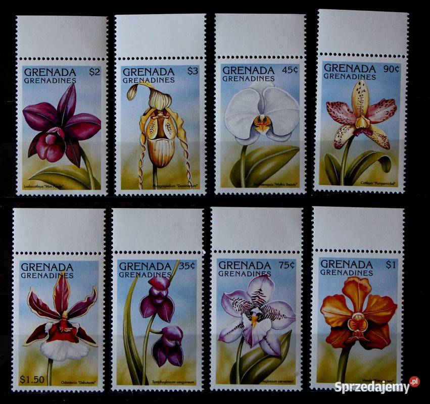 Grenada Grenadiny storczyki
