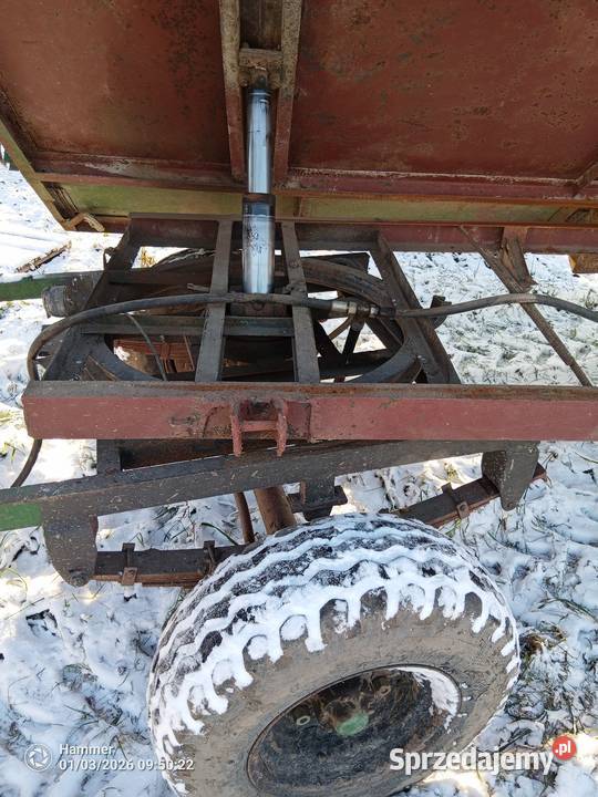 Przyczepa rolnicza wywrotka D45 D35 D47 nieuszkodzony Szamoty sprzedam