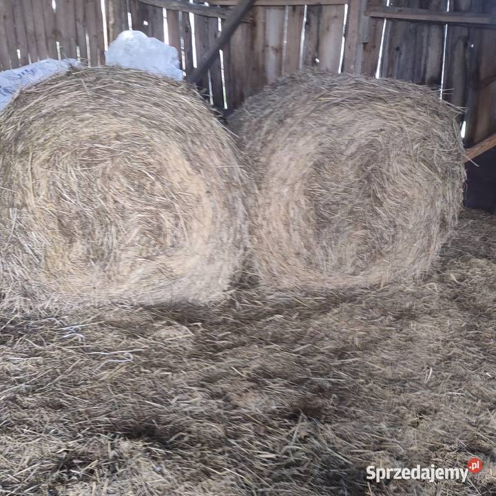 Sprzedam Siano Czołki