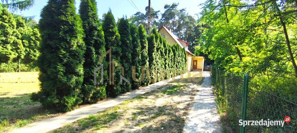 Szczecin Wielgowo mieszkanie z ogrodem sprzedaż