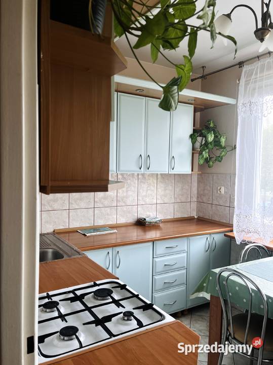 DO WYNAJĘCIA MIESZKANIE blacha lubelskie sprzedam