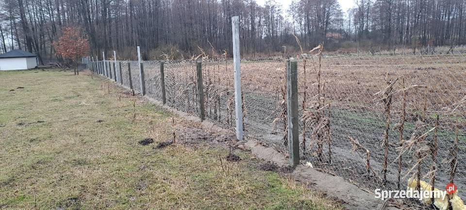 Siatka ogrodzeniowa łódzkie Radomsko