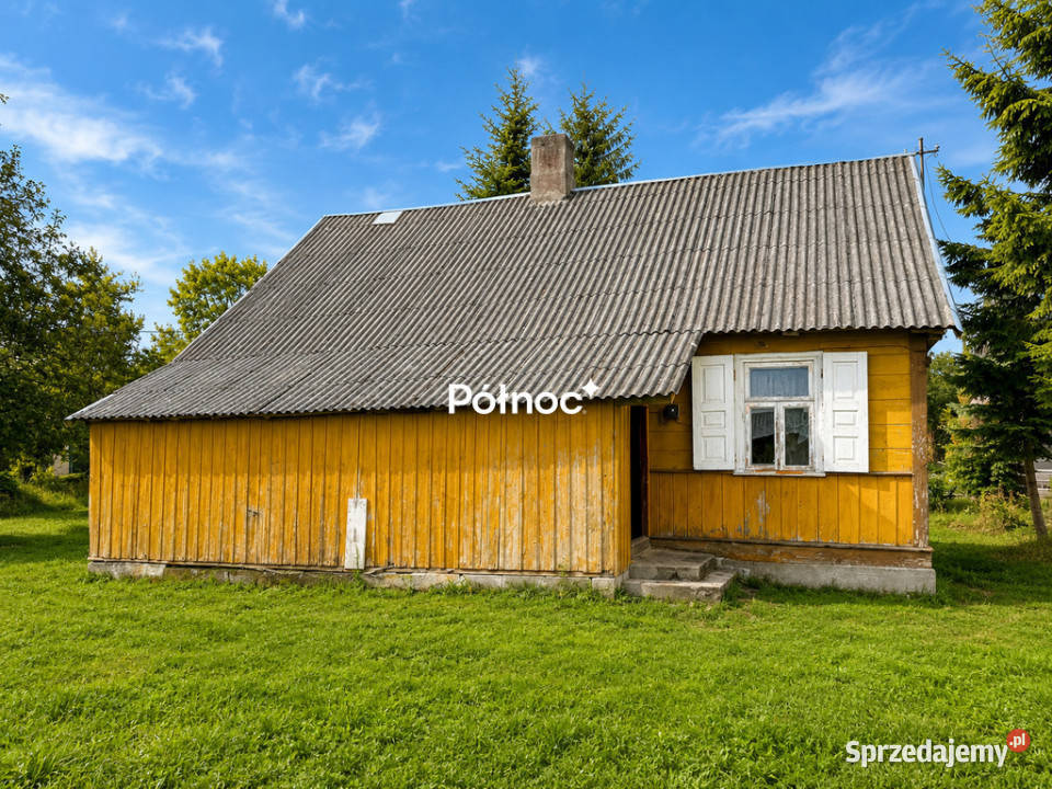 Siedlisko 11 ha w Kozłach Kozły