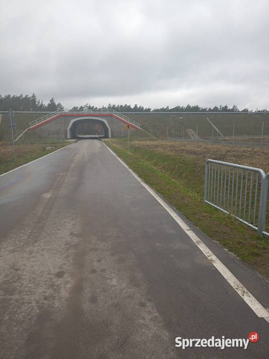 Mława Nowa Wieś 317 ha dobra