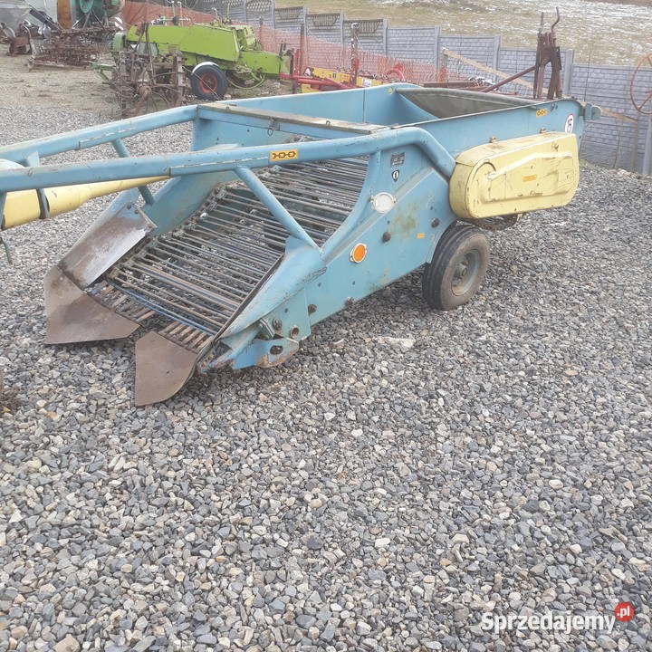 Kopaczka do ziemniaków elewatorowa świętokrzyskie Nowa Słupia