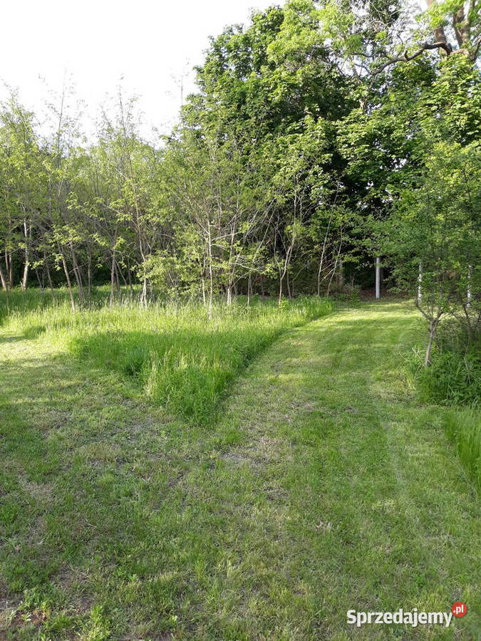 Radiesteta Rozdzkarz studnie woda poszukiwanie Warszawa