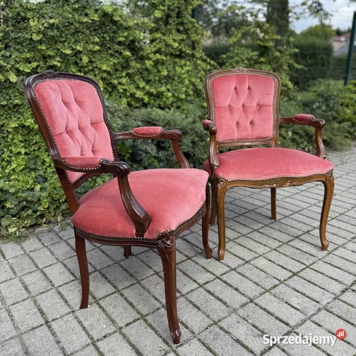 ARTexpert Para foteli Filip Ludwik fotel Dobrzany