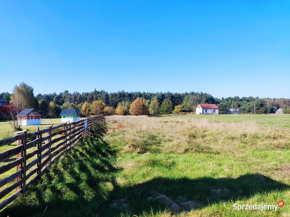 Działki budowlane 8001330m2 Grębiszew koło Mińsk