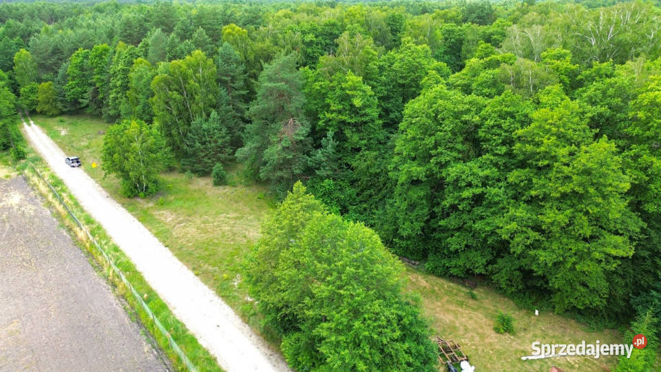 Do sprzedaży grunt 6000m2 Wola Uhruska sprzedam