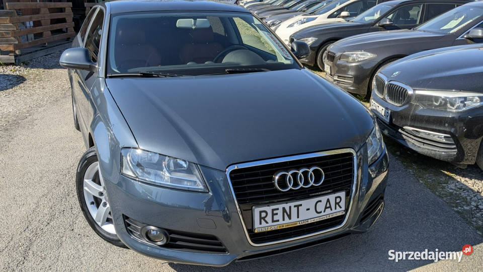 Audi A3 3drzwiowe 16i105OPŁACONYBezwypadkowy śląskie Częstochowa