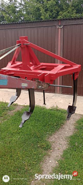 Głębosz mazowieckie Przasnysz