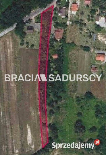 Grunt 3395m2 Nowa Wieś Szlachecka Lisiecka małopolskie