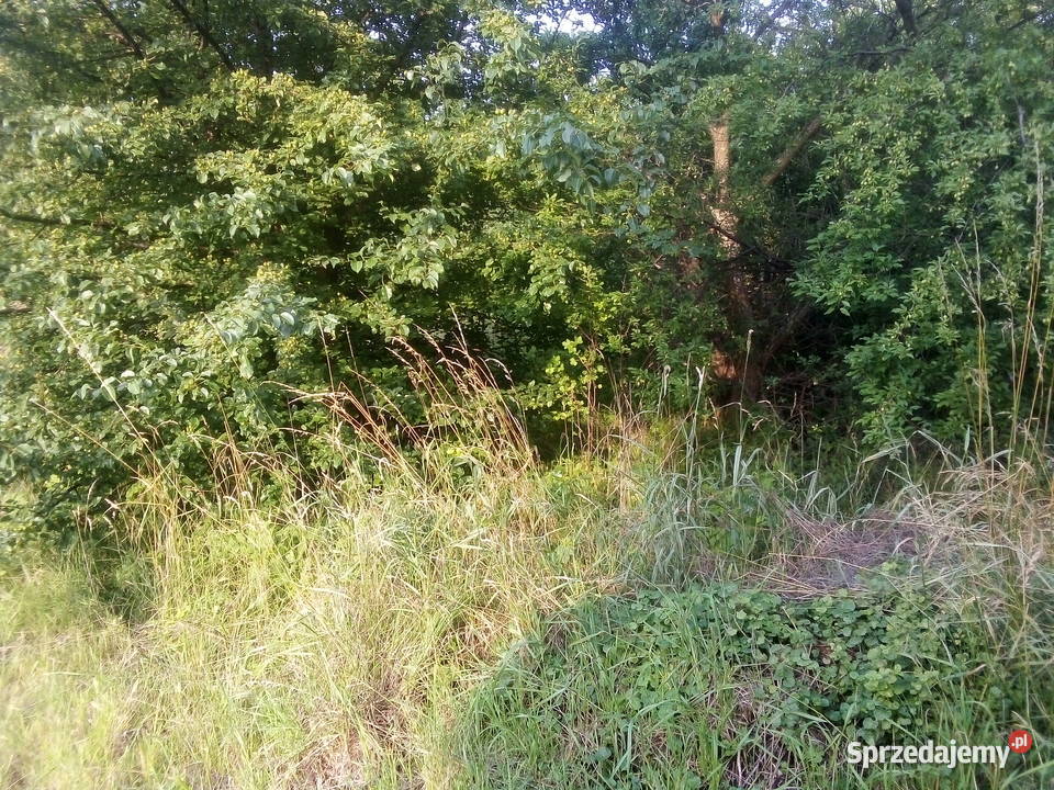 Działka w Barłominie k Luzina pomorskie Barłomino