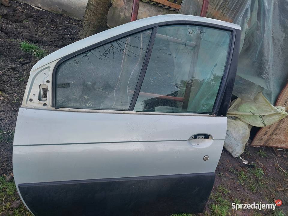 Drzwi do Renault Scenic RX4 Puławy sprzedam
