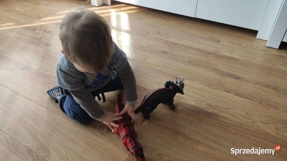 Duży Dinozaur Ryczy Triceratops Figurka Gumowa z Mogilany