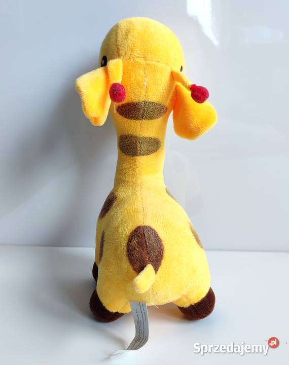 Żyrafa Antosia Axiom Katowice