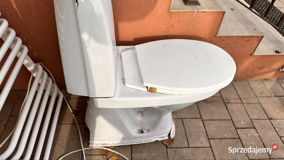 Oddam sedes kompakt i grzejnik łazienkowy Dom i Ogród Krośniewice