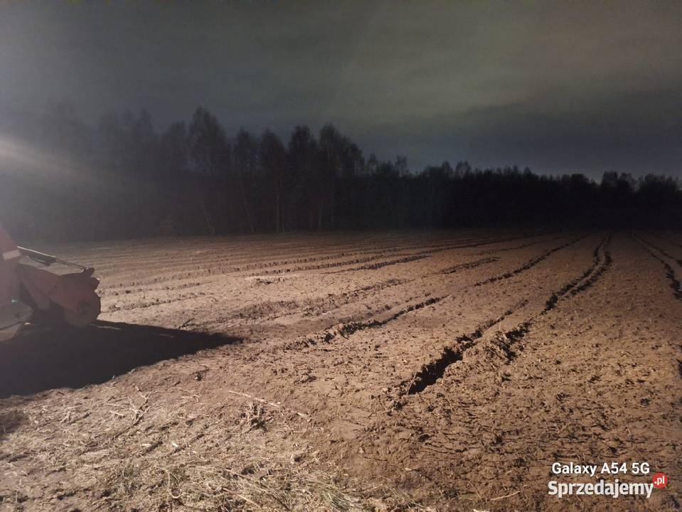 Wycinka drzew Czyszczenie działek Mulczowanie