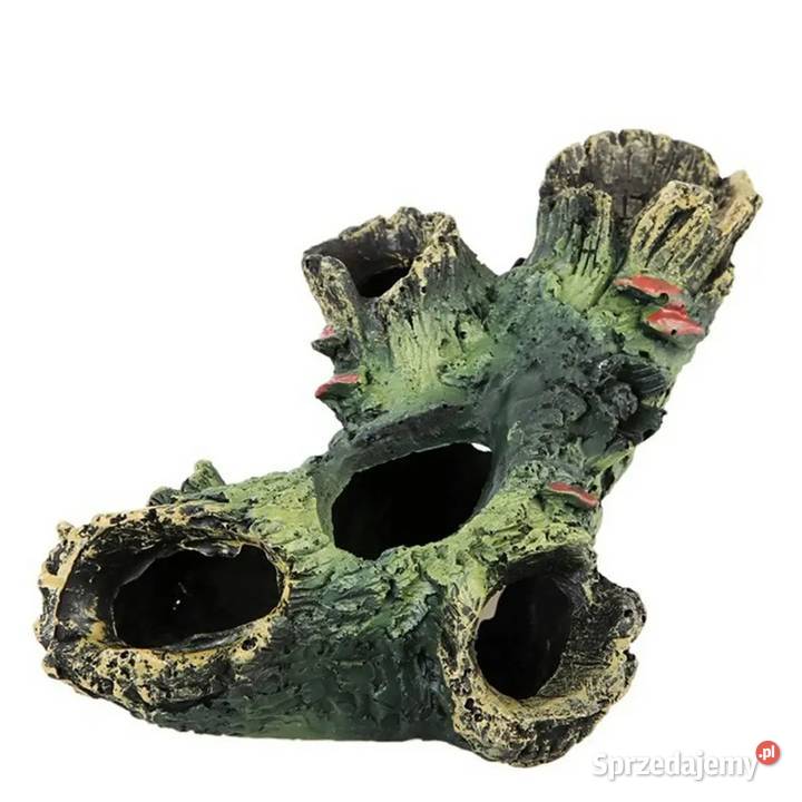 Korzeń do akwarium schronienie ryb krewetek Płock sprzedam