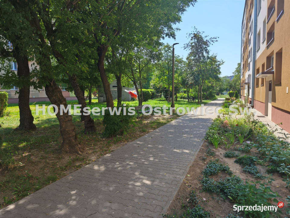 Mieszkanie 579m2 2 pokoje Ostrowiec Ostrowiec Świętokrzyski