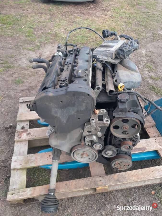 Xsara picasso 18 silnik Domaszowice sprzedam