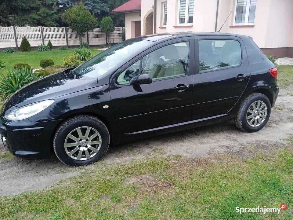 Peugeot 307 16 Benzyna160przebieg Super stan manualna