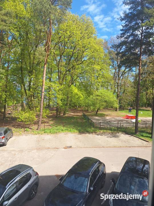 Syndyk sprzeda lokal mieszkalny w Gdyni Babie Gdynia