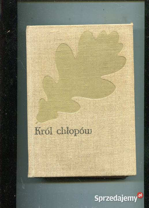 Król chłopów Kraszewski Szczecin