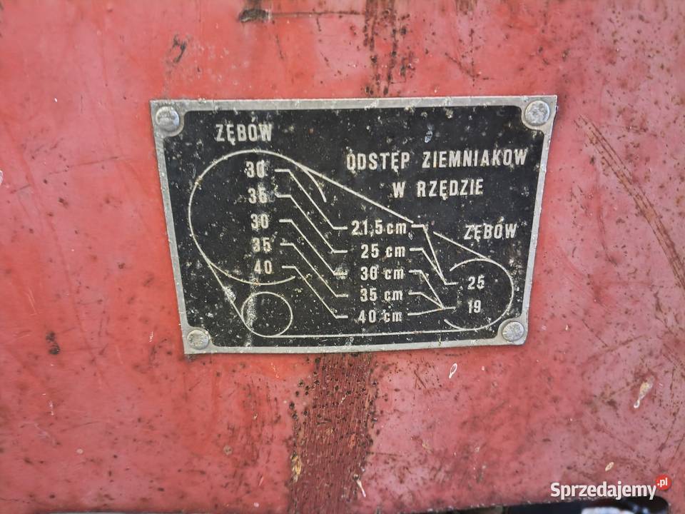 Sadzarka do ziemniaków Agrozet