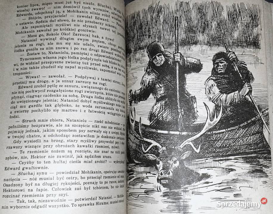 Mieszkaniec puszczy Maria Julia Zaleska Chełm sprzedam